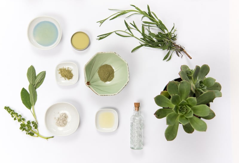 Sustainable Lifestyle Hacks